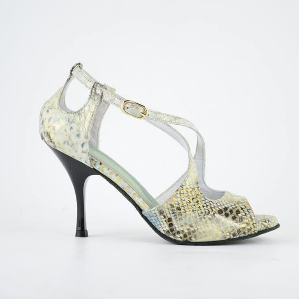 Ballroom Dance Shoes